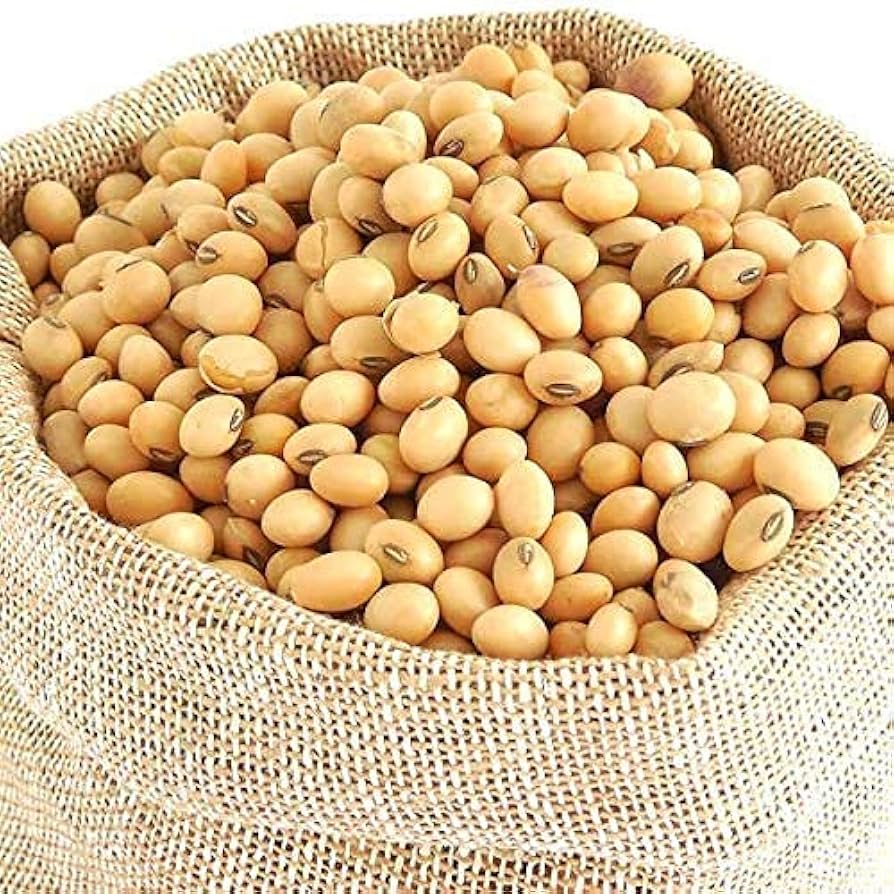 Soybean